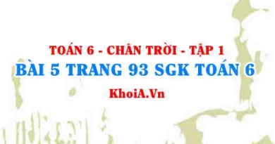 Bài 5 trang 93 SGK Toán 6 Tập 1 Chân trời sáng tạo
